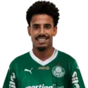 Palmeiras 2025 20