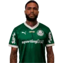 Palmeiras 2025 22