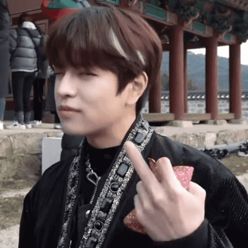 Straykids  8