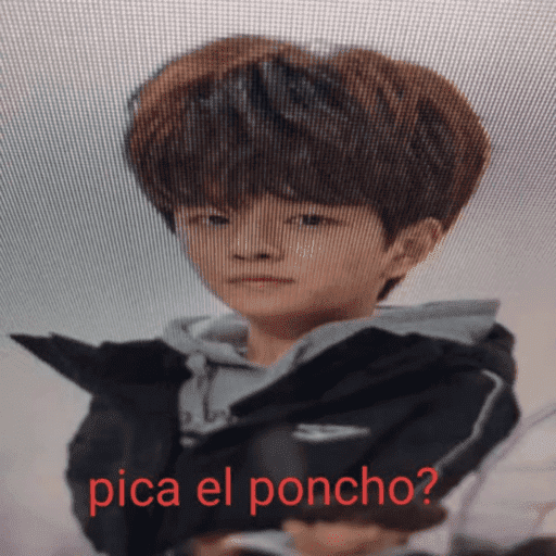 Straykids  14
