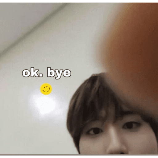 Straykids  16