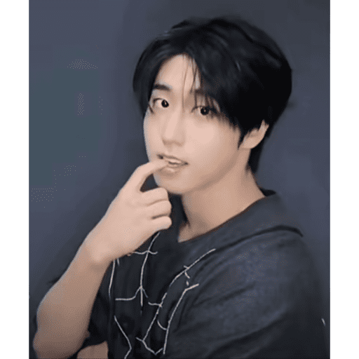 Straykids  22
