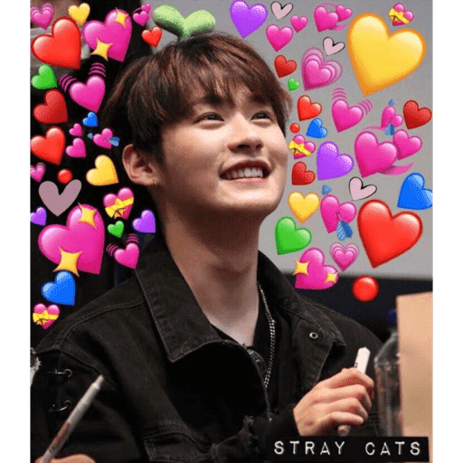 Straykids  28