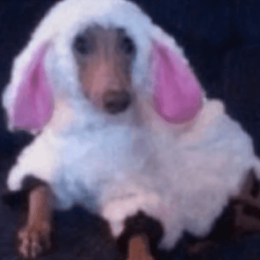 Animais 7