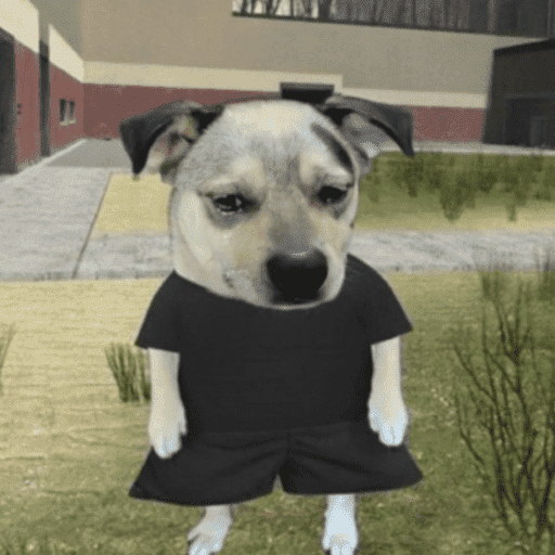 Animais 9