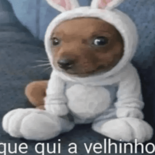 Animais 11