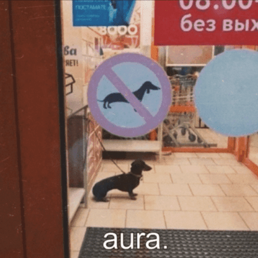 Animais 12