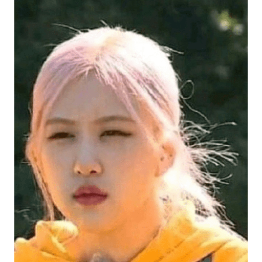 Blackpink 13