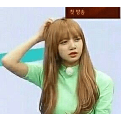 Blackpink 28