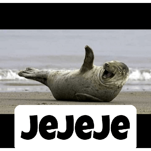 Jajaja 8