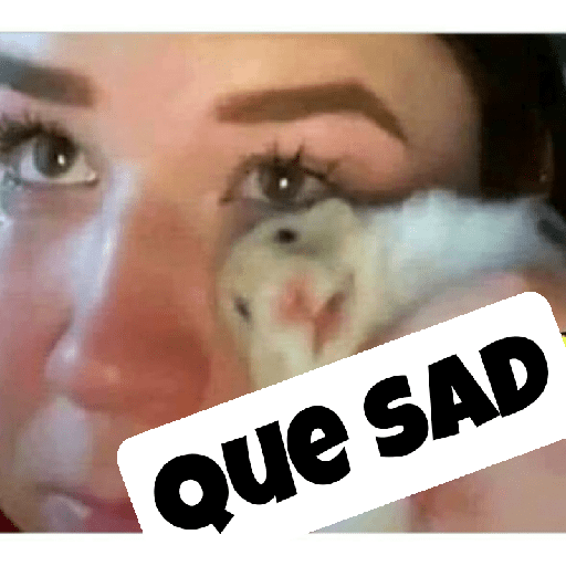 Jajaja 13