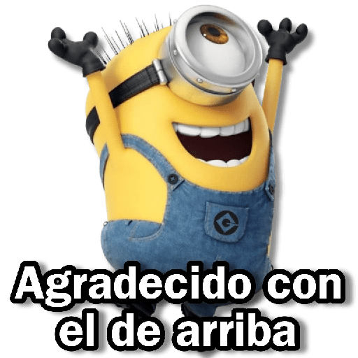 🟡Los Minions🟡 15