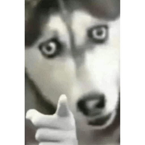 Randomx3 6