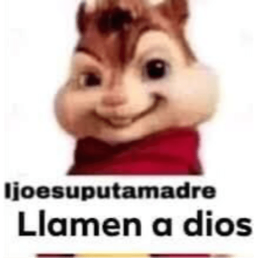Randomx3 13