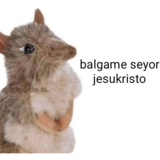 Randomx3 17