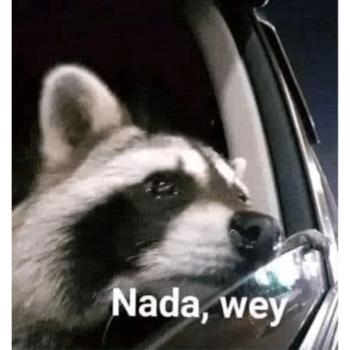 Randomx3 20