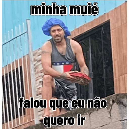 Minhas figurinhas 14