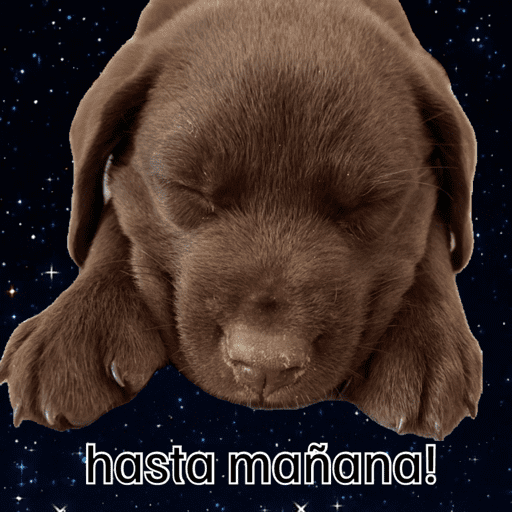 Mis pegatinas 5