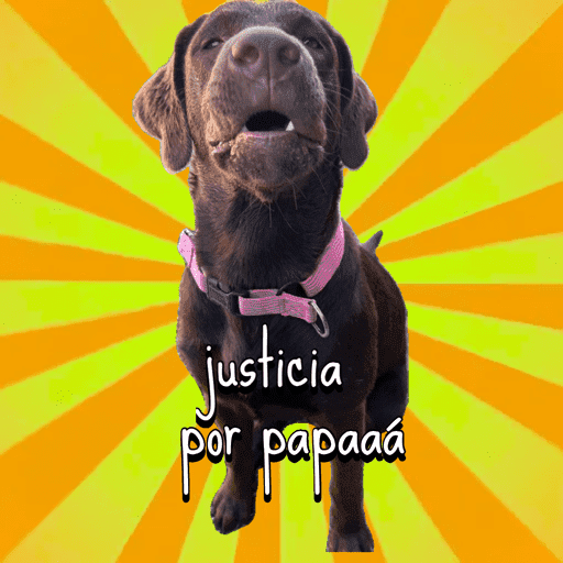Mis pegatinas 19