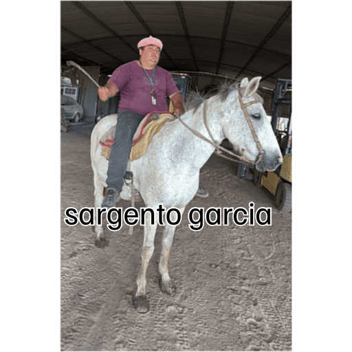 Jaja 5