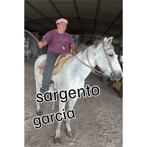 Jaja 6