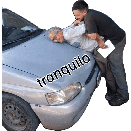 Jaja 8