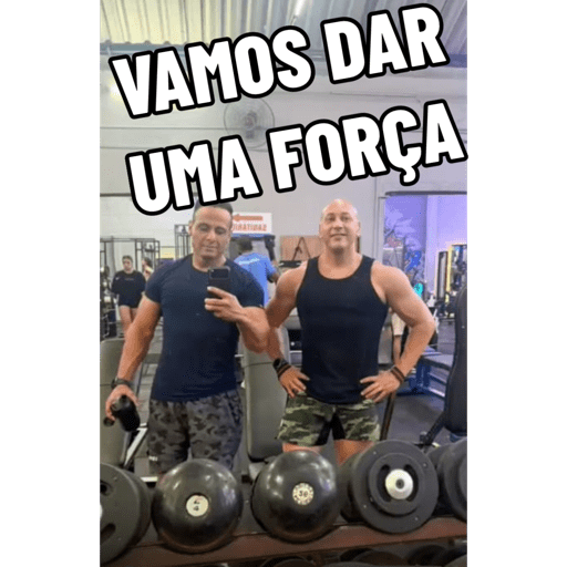 Minhas figurinhas 29