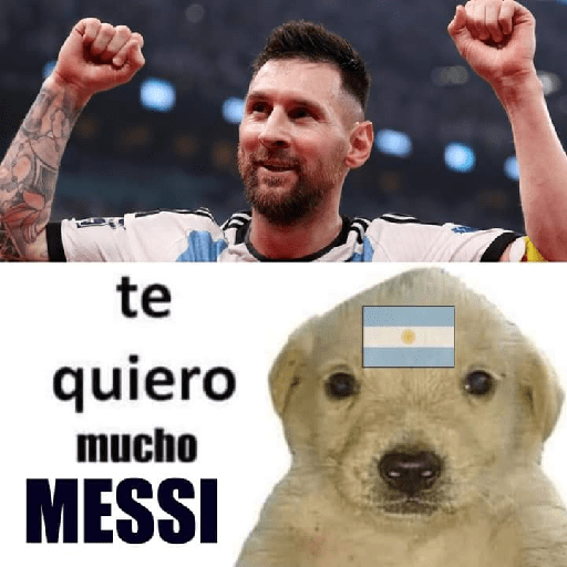 ARGENTINA CAMPEÓN DEL MUNDO🐐🇦🇷🏆 13
