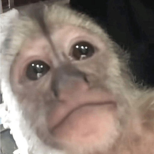 Macaquinhos 🦧🐒 6