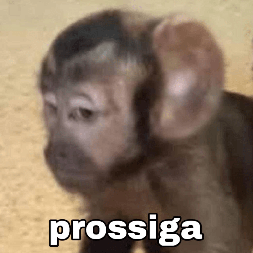 Macaquinhos 🦧🐒 7