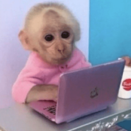 Macaquinhos 🦧🐒 12