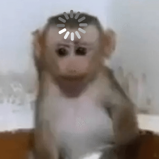 Macaquinhos 🦧🐒 14