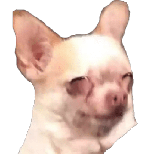Sorpresa susto y desagrado 8
