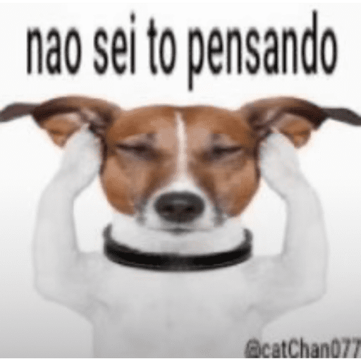 Minhas figurinhas 11