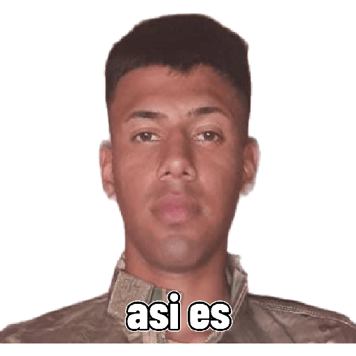 Recibido 15