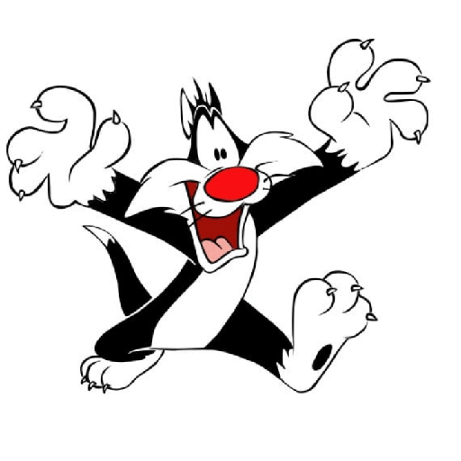 Gato silvestre 6