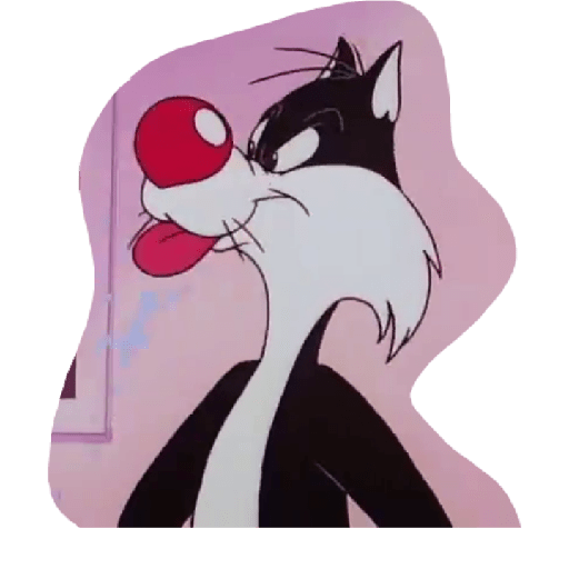Gato silvestre 11