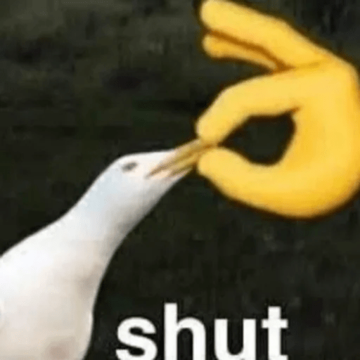R4nd0M 8