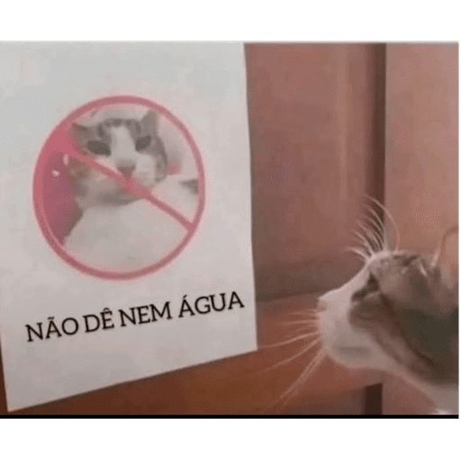 Minhas figurinhas 8