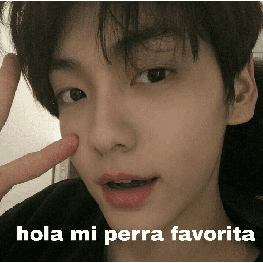 Kpop 8
