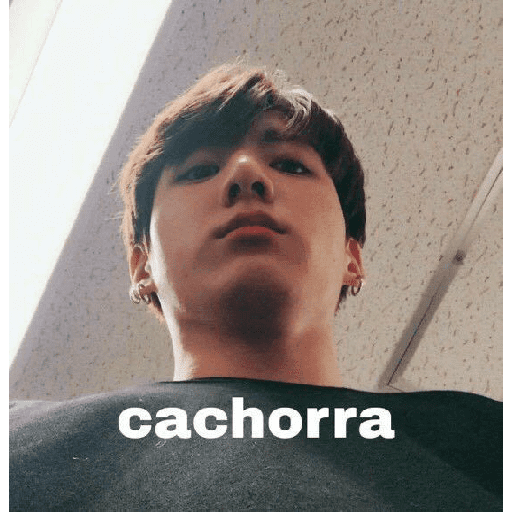 Kpop 13