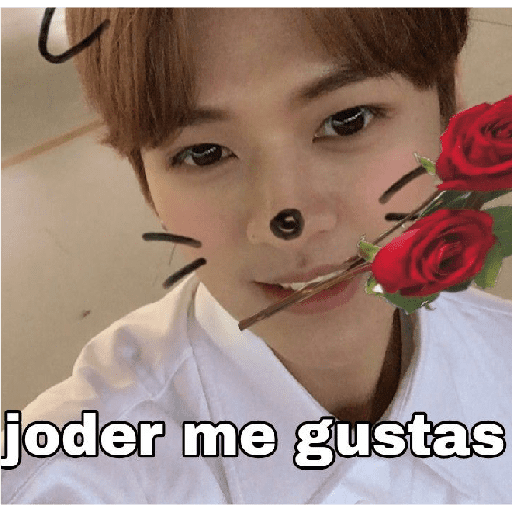 Kpop 28