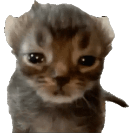 Tiktok Ramdons 5