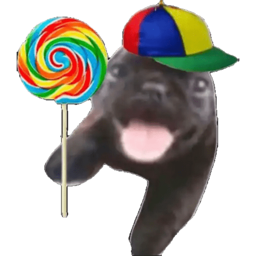 Tiktok Ramdons 6