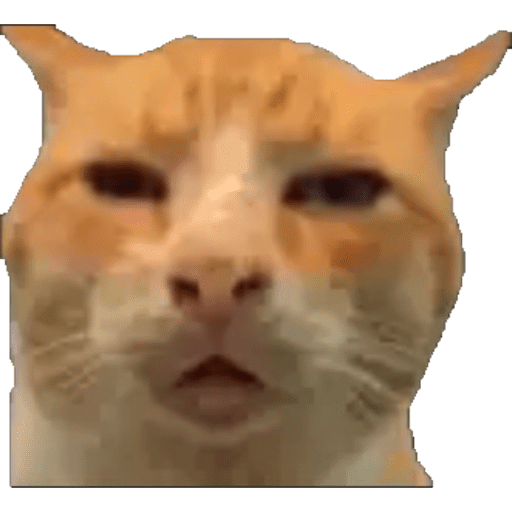 Tiktok Ramdons 7