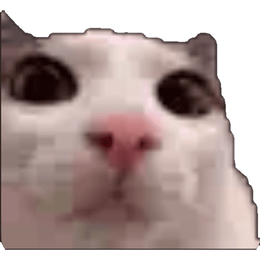 Tiktok Ramdons 14