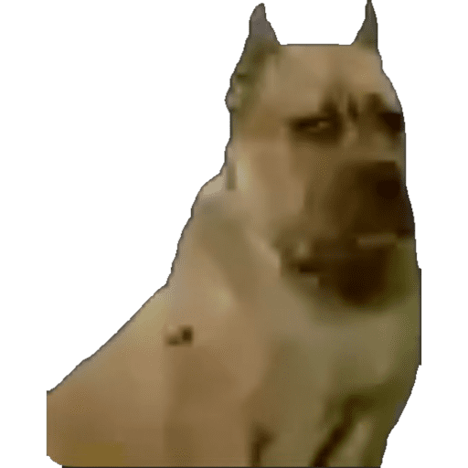 Tiktok Ramdons 20