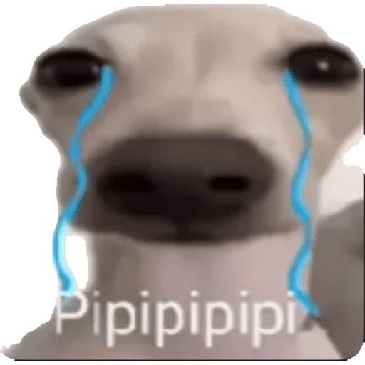 Tiktok Ramdons 21