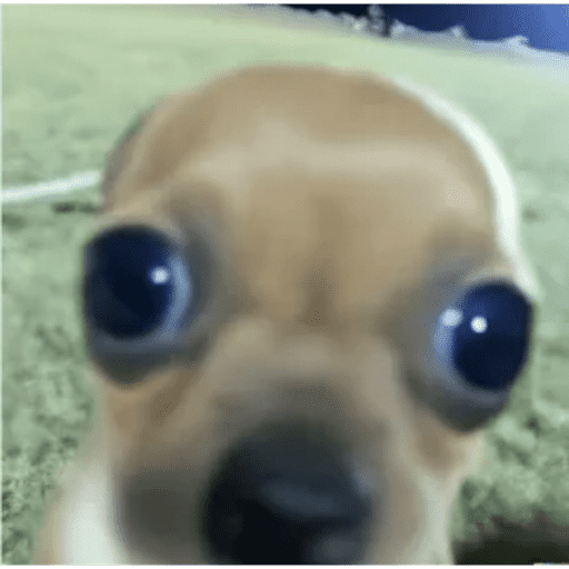 Tiktok Ramdons 29