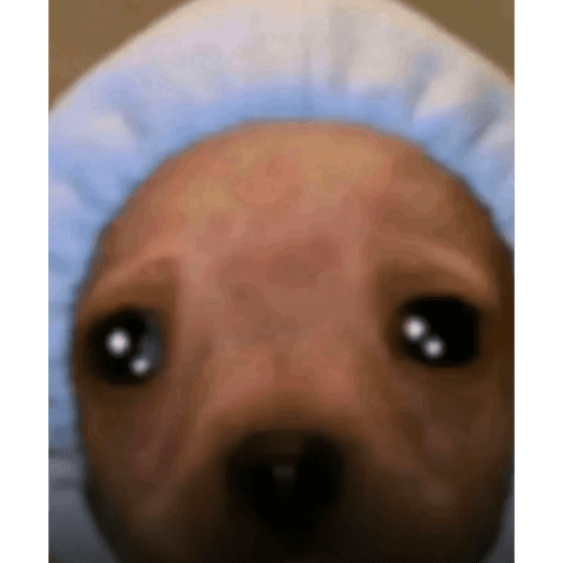 Tiktok Ramdons 30